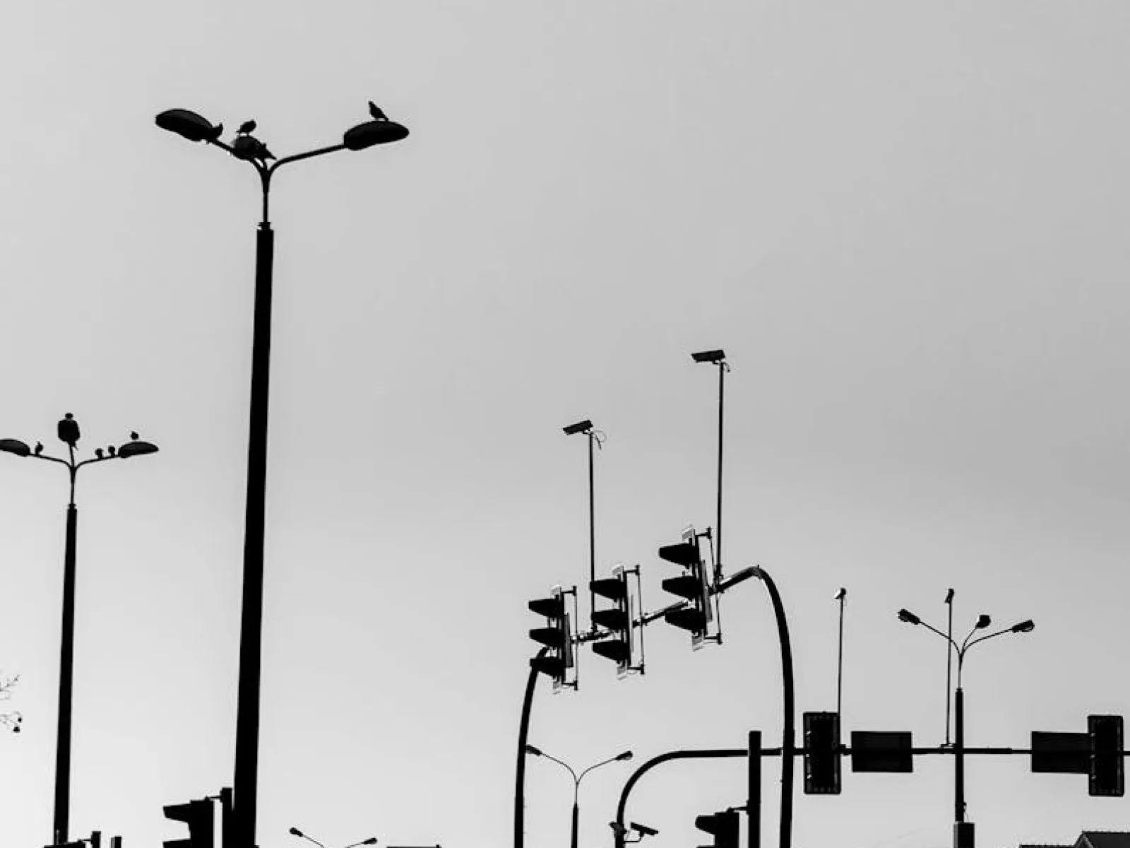 Monochrome view of streetlights and traffic signals on a city street in Tychy, Poland.